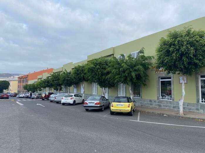 Las ramas se cuelan por las ventanas de las viviendas / TA